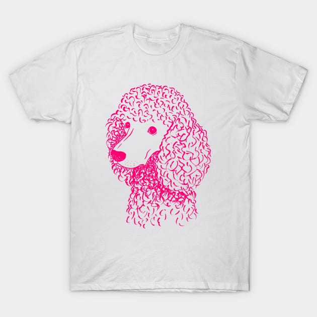 Poodle (Light Blue and Hot Pink) T-Shirt by illucalliart